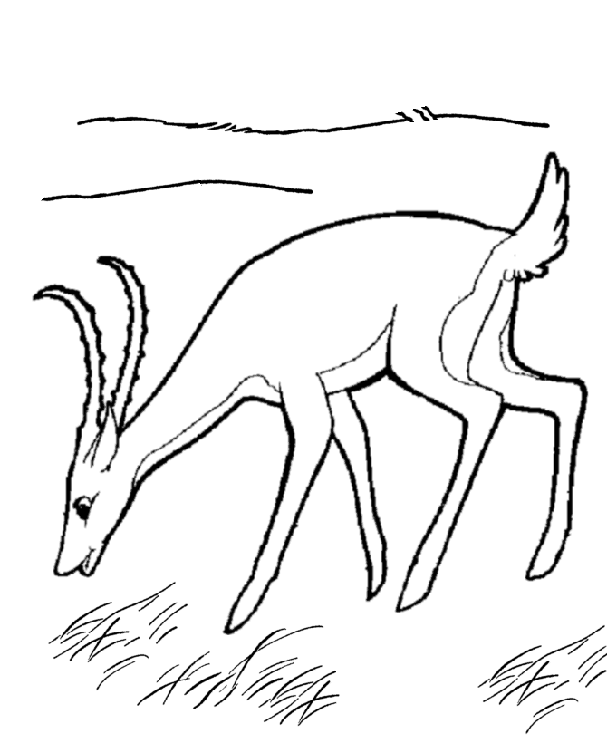 Coloring page: Antelope (Animals) #22633 - Free Printable Coloring Pages