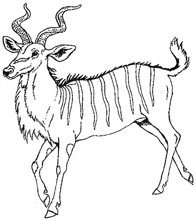 Coloring page: Antelope (Animals) #22637 - Free Printable Coloring Pages