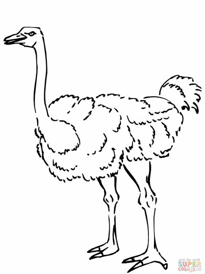 Coloring page: Antelope (Animals) #22674 - Free Printable Coloring Pages