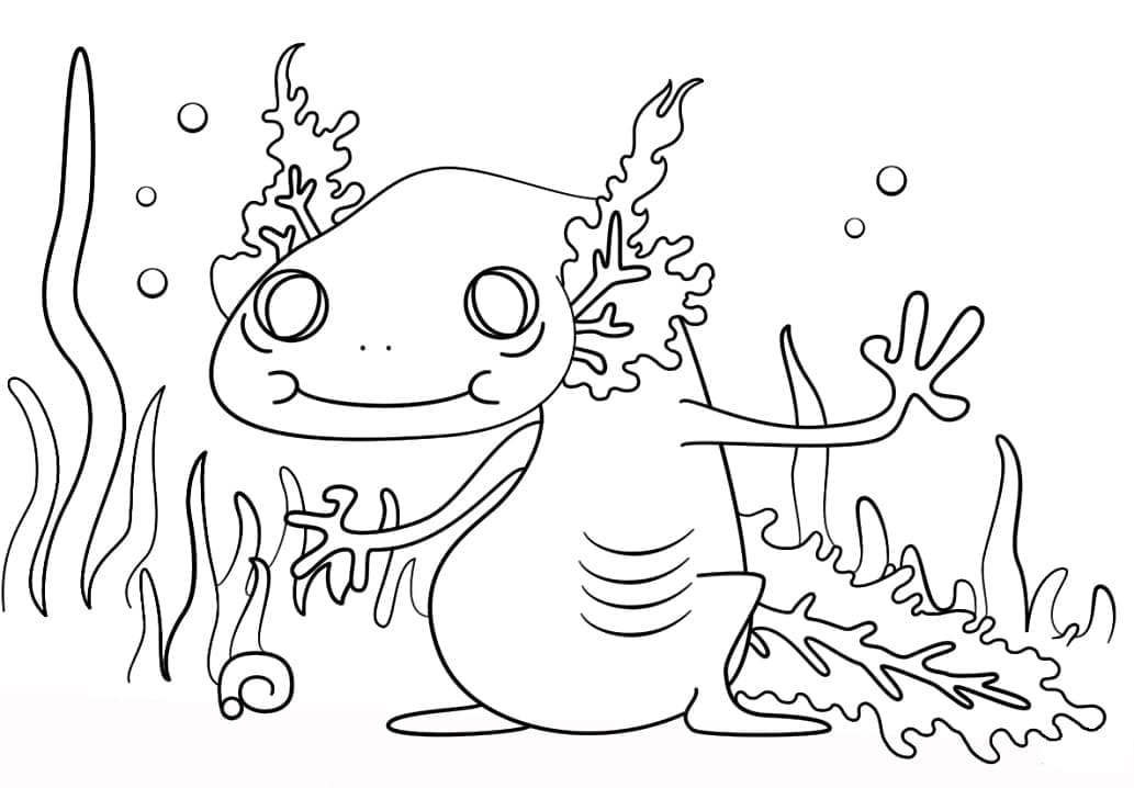 Free printable Axolotl coloring page #184570 from Animals collection Free printable Axolotl coloring page #184570 from Animals collection