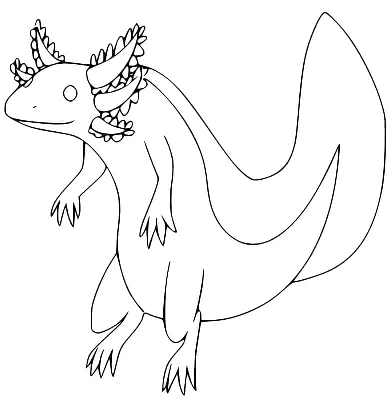 Free printable Axolotl coloring page #184575 from Animals collection Free printable Axolotl coloring page #184575 from Animals collection