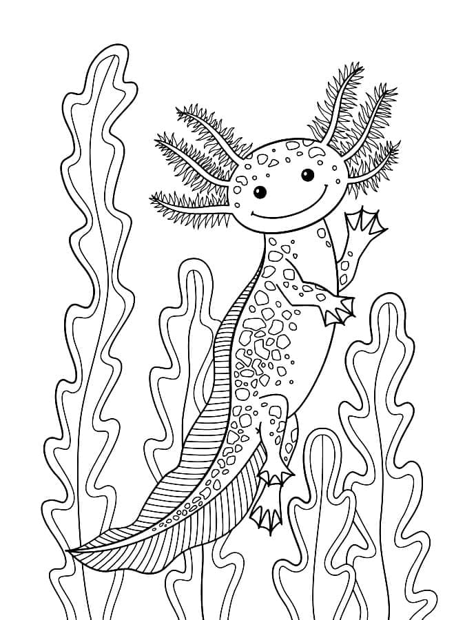 Free printable Axolotl coloring page #184584 from Animals collection