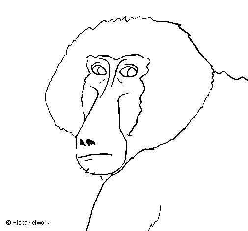 Coloring page: Baboon (Animals) #777 - Printable coloring pages