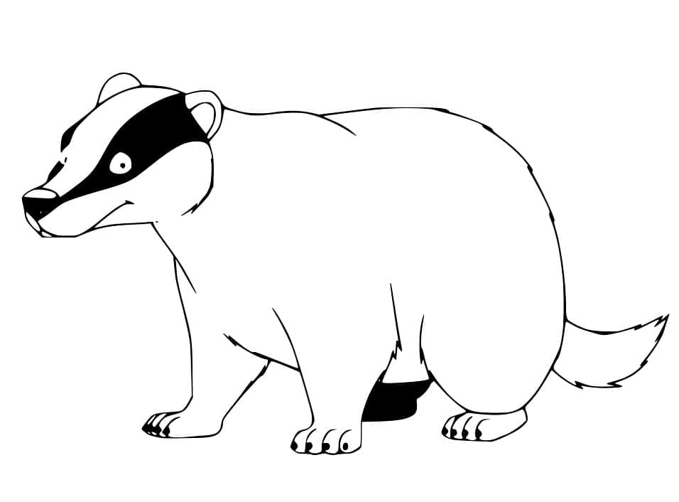 Free printable Badger coloring page #208827 from Animals collection