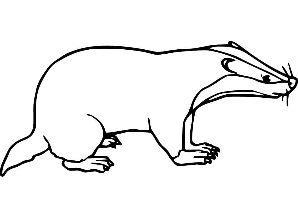 Free printable Badger coloring page #208850 from Animals collection