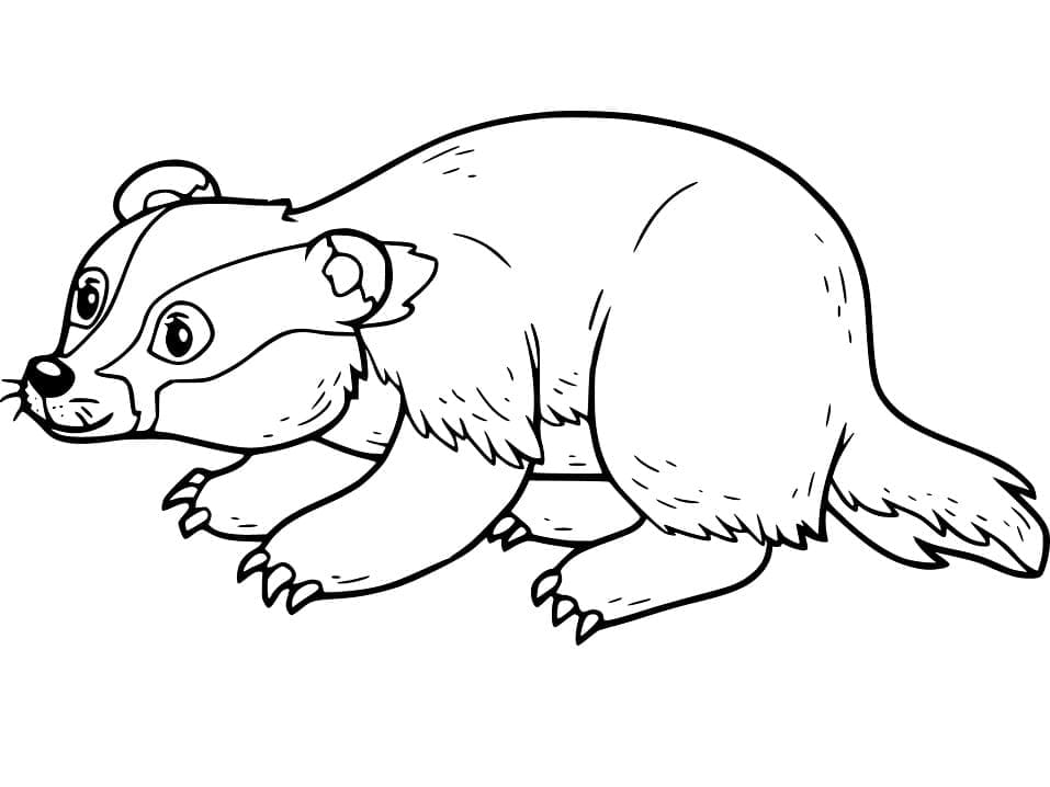 Free printable Badger coloring page #208855 from Animals collection Free printable Badger coloring page #208855 from Animals collection