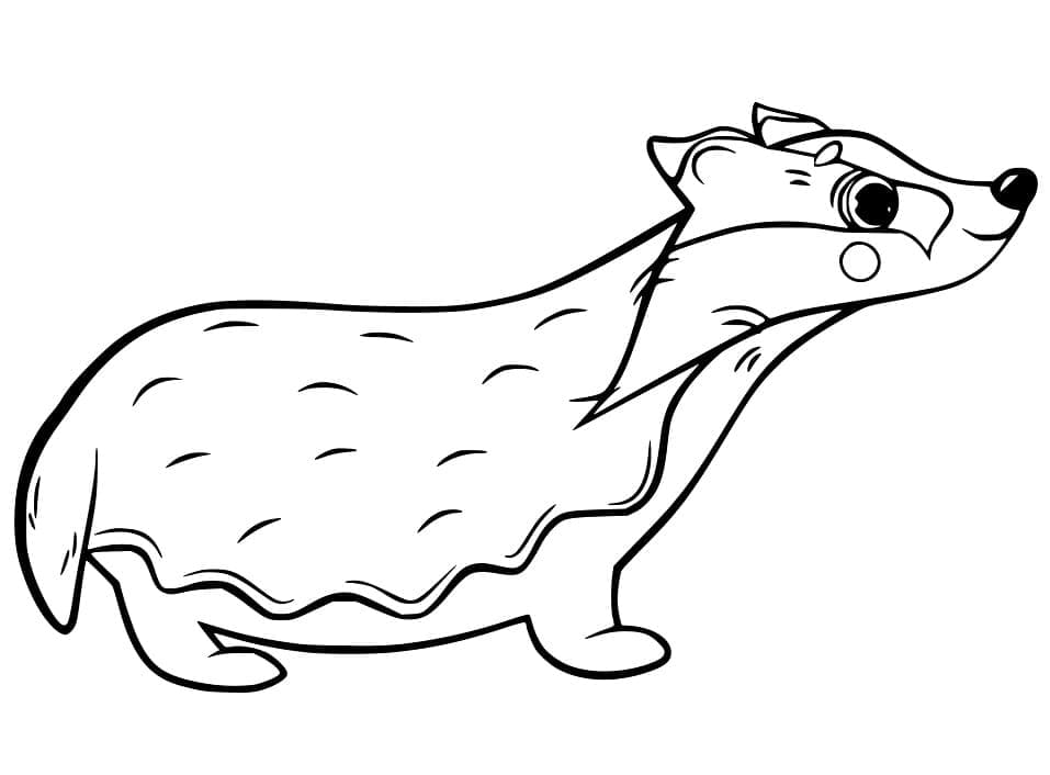 Free printable Badger coloring page #208859 from Animals collection Free printable Badger coloring page #208859 from Animals collection