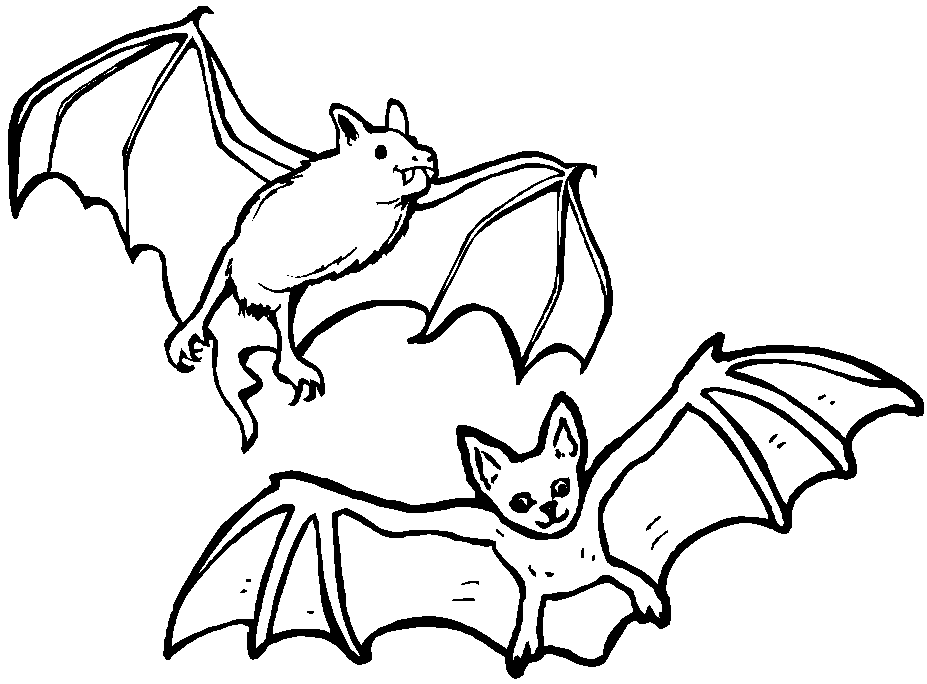 Coloring page: Bat (Animals) #1967 - Printable coloring pages