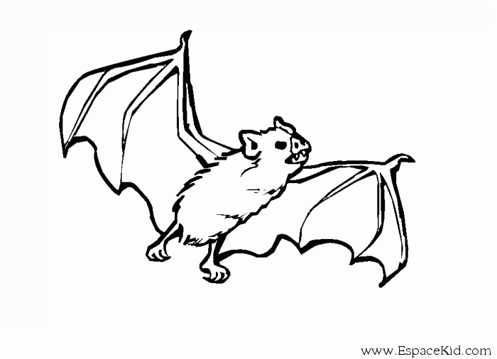 Coloring page: Bat (Animals) #1968 - Printable coloring pages