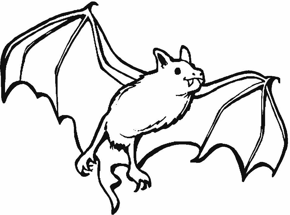 Coloring page: Bat (Animals) #1970 - Free Printable Coloring Pages