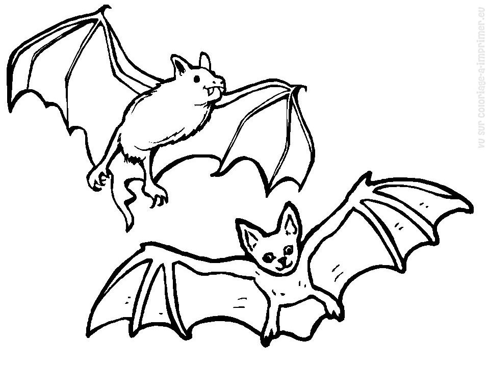 Coloring page: Bat (Animals) #1974 - Free Printable Coloring Pages