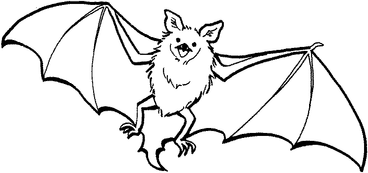 Coloring page: Bat (Animals) #1976 - Free Printable Coloring Pages