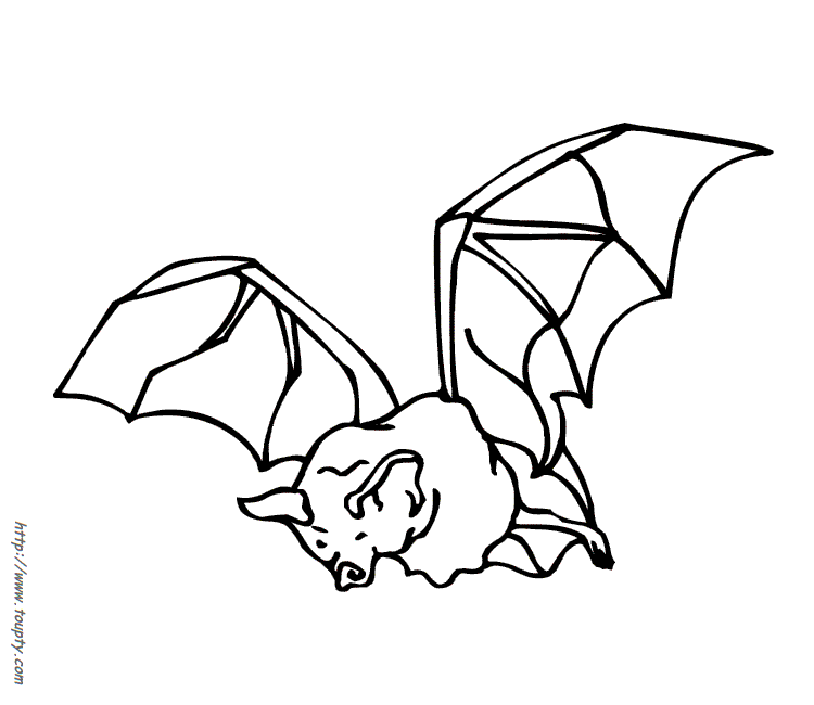 Coloring page: Bat (Animals) #1989 - Free Printable Coloring Pages