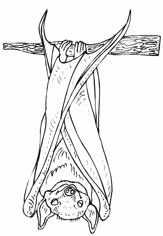 Coloring page: Bat (Animals) #1999 - Free Printable Coloring Pages