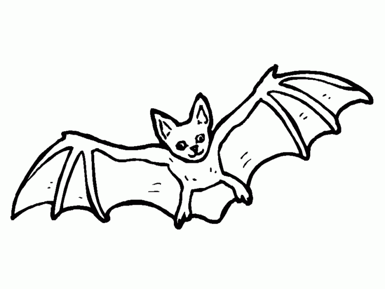 Coloring page: Bat (Animals) #2008 - Free Printable Coloring Pages