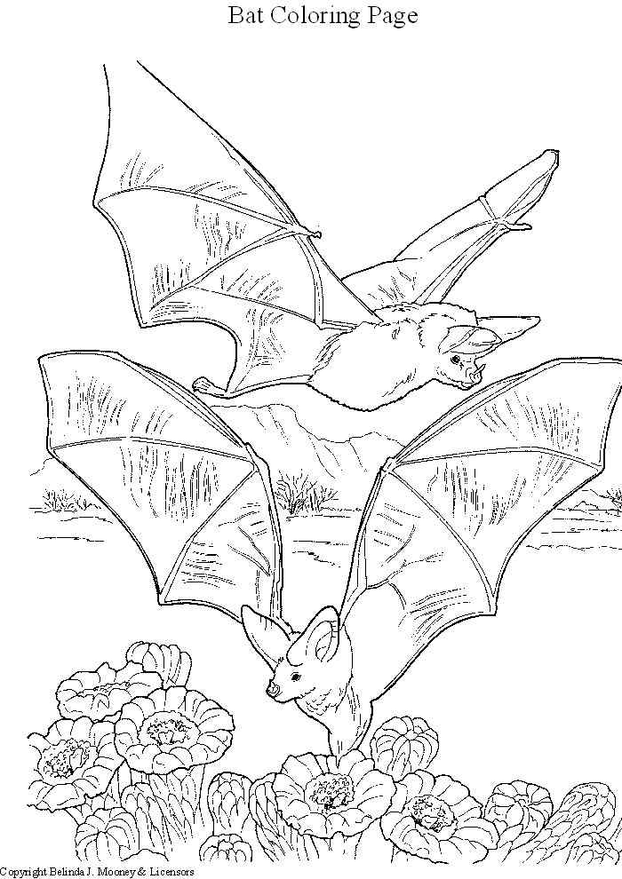 Coloring page: Bat (Animals) #2027 - Free Printable Coloring Pages