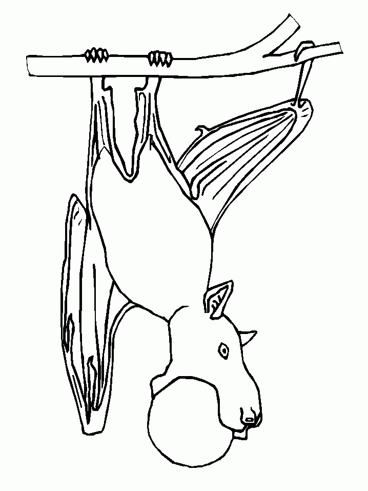 Coloring page: Bat (Animals) #2044 - Free Printable Coloring Pages