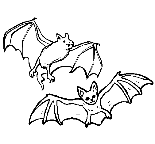 Coloring page: Bat (Animals) #2078 - Printable coloring pages