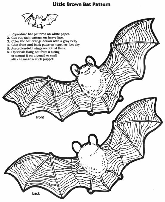 Drawing Bat #2092 (Animals) – Printable coloring pages