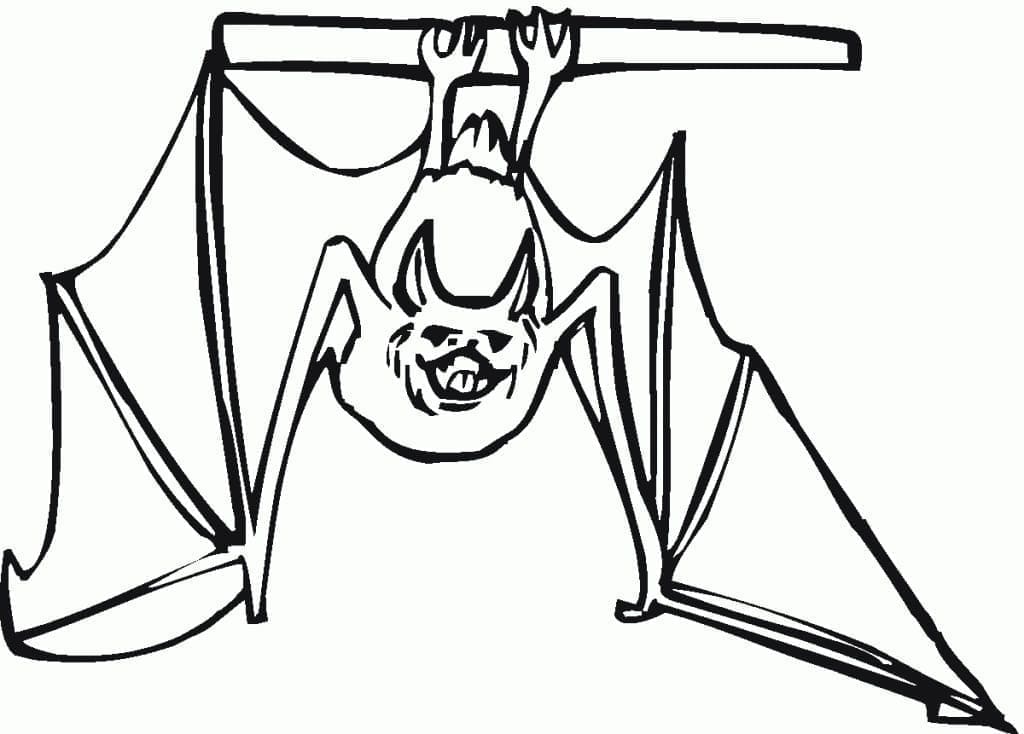 Free printable Bat coloring page #212471 from Animals collection