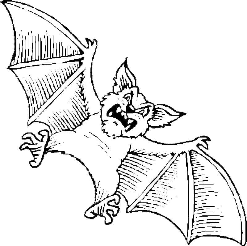 Free printable Bat coloring page #212472 from Animals collection