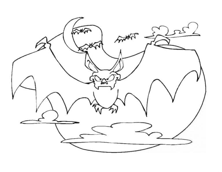 Free printable Bat coloring page #212476 from Animals collection