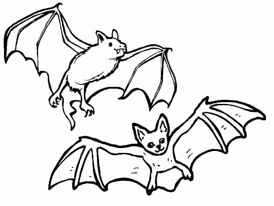 Free printable Bat coloring page #212489 from Animals collection