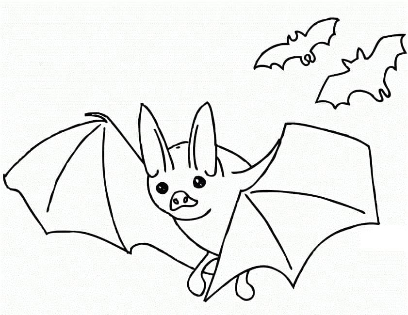 Free printable Bat coloring page #212492 from Animals collection