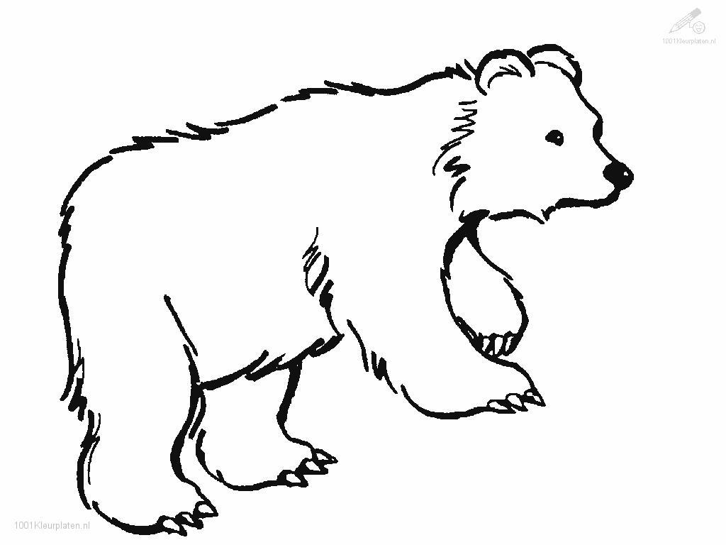 Coloring page: Bear (Animals) #12188 - Printable coloring pages