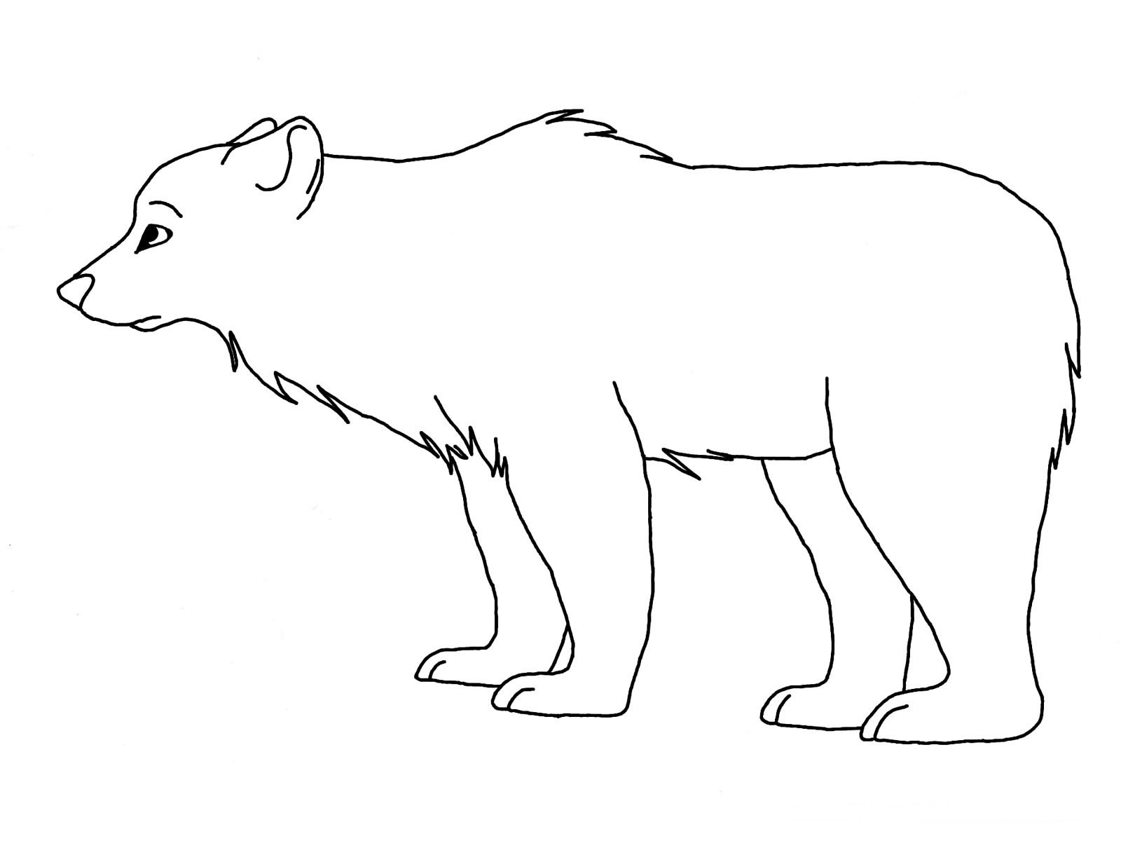 Drawing Bear #12202 (Animals) – Printable coloring pages