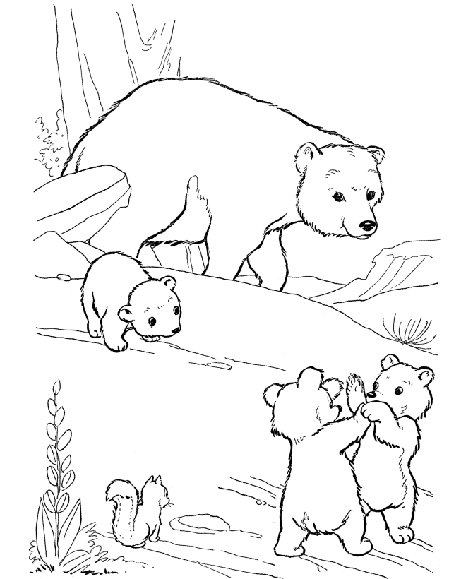 Drawing Bear #12207 (Animals) – Printable coloring pages