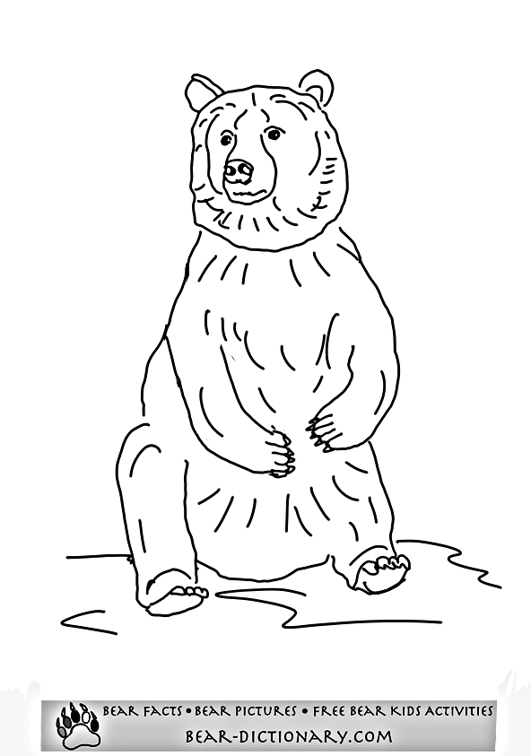 Coloring page: Bear (Animals) #12223 - Free Printable Coloring Pages