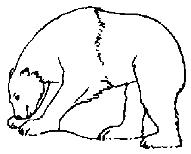 Coloring page: Bear (Animals) #12231 - Free Printable Coloring Pages