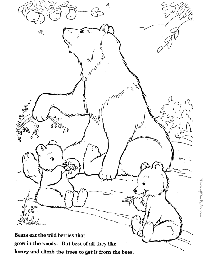 Coloring page: Bear (Animals) #12232 - Free Printable Coloring Pages