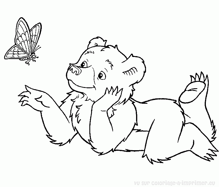 Coloring page: Bear (Animals) #12238 - Free Printable Coloring Pages