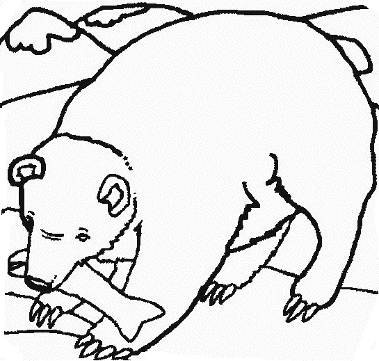 Coloring page: Bear (Animals) #12286 - Free Printable Coloring Pages