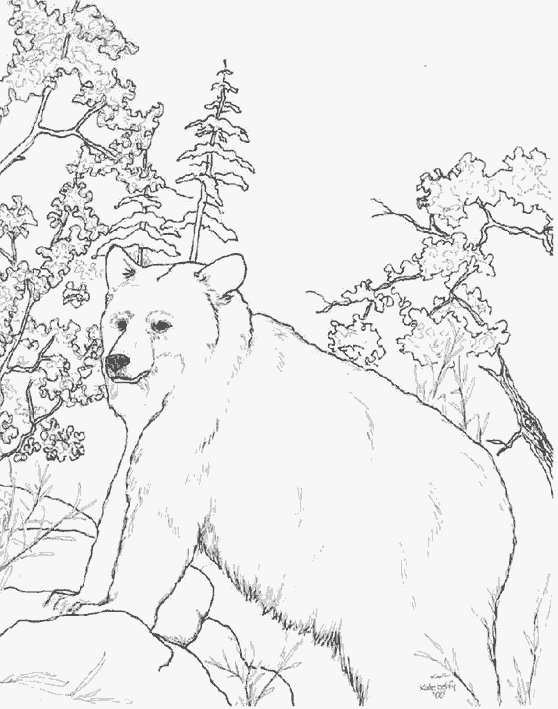 Coloring page: Bear (Animals) #12314 - Free Printable Coloring Pages