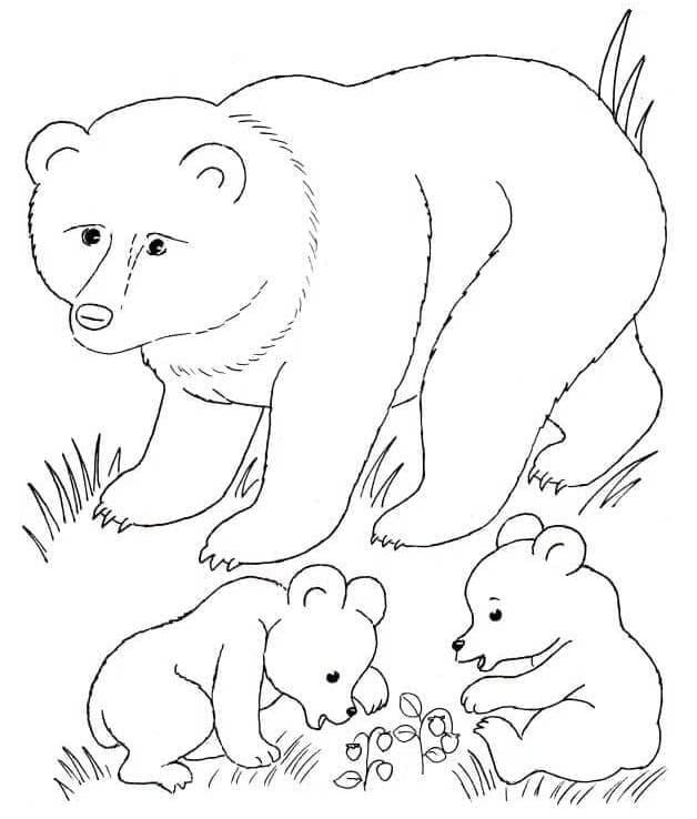 Free printable Bear coloring page #180716 from Animals collection