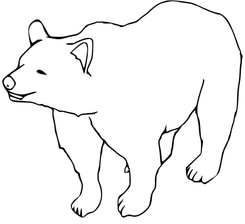Free printable Bear coloring page #180721 from Animals collection