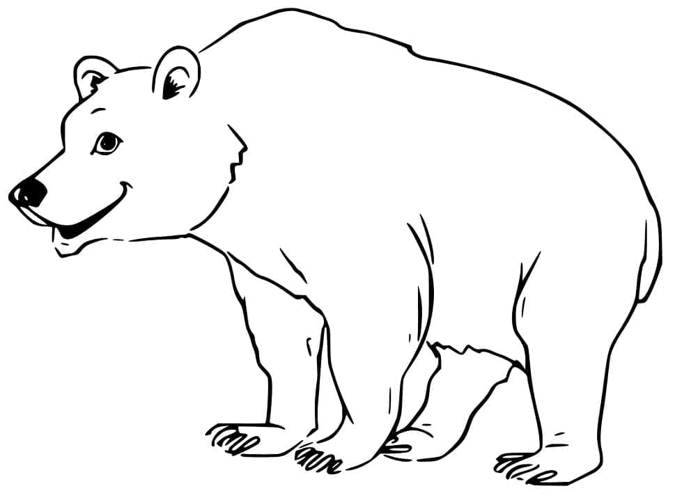 Free printable Bear coloring page #180732 from Animals collection