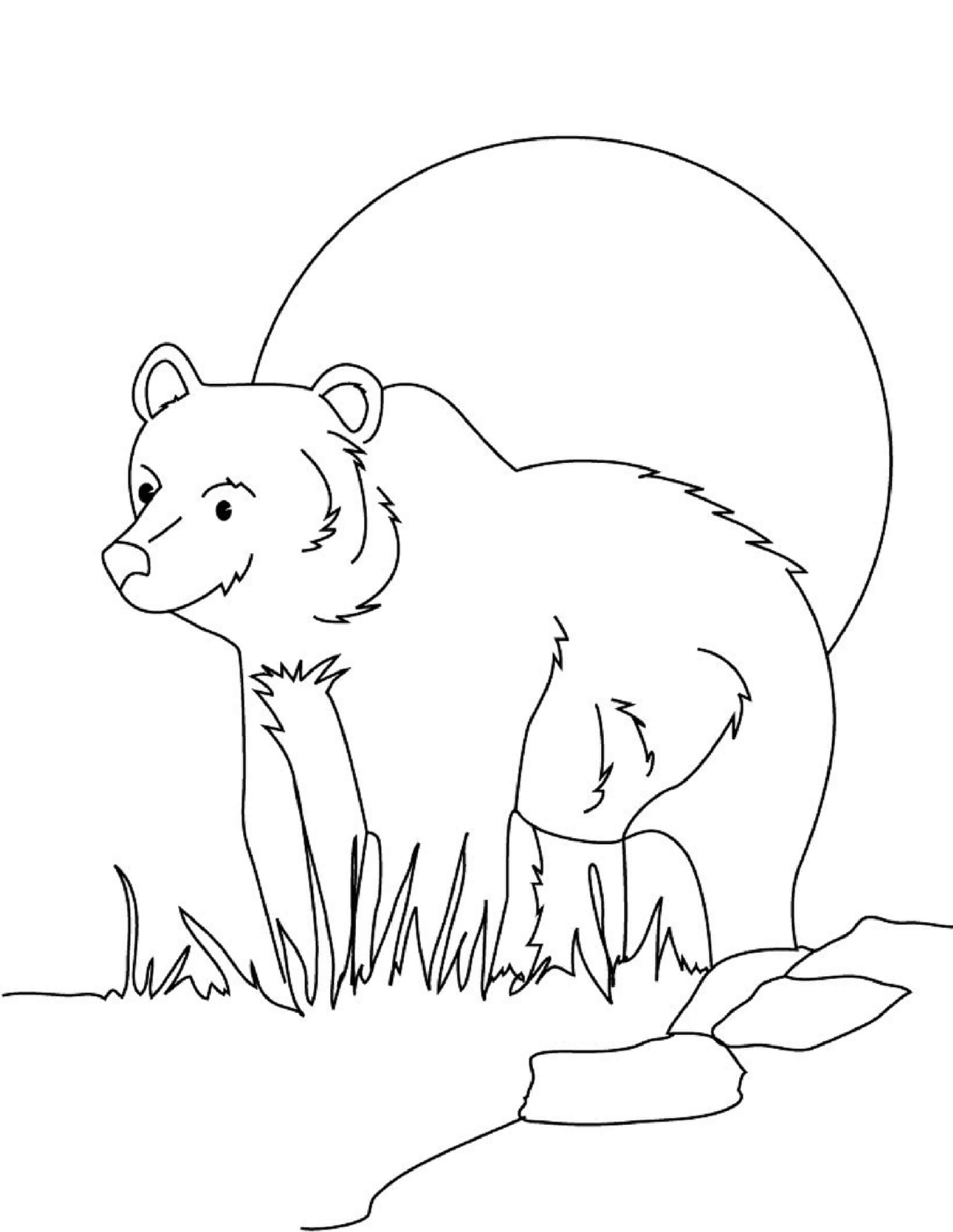 Free printable Bear coloring page #217197 from Animals collection Free printable Bear coloring page #217197 from Animals collection