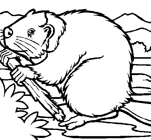 Coloring page: Beaver (Animals) #1589 - Free Printable Coloring Pages
