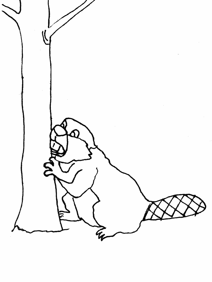 Coloring page: Beaver (Animals) #1622 - Free Printable Coloring Pages
