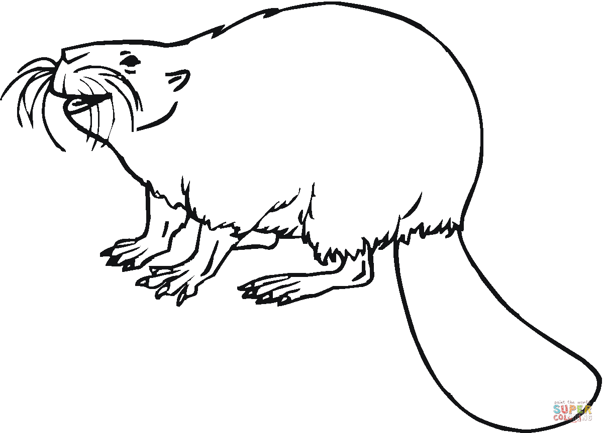 Coloring page: Beaver (Animals) #1623 - Free Printable Coloring Pages