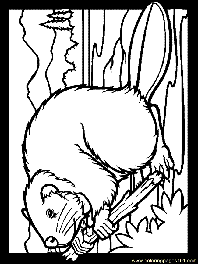 Coloring page: Beaver (Animals) #1632 - Free Printable Coloring Pages