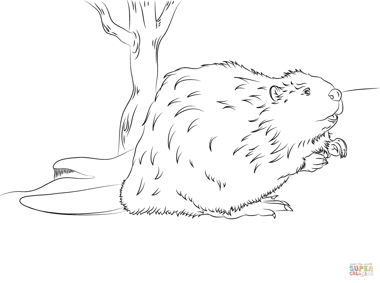 Beaver 1633 Animals Printable Coloring Pages