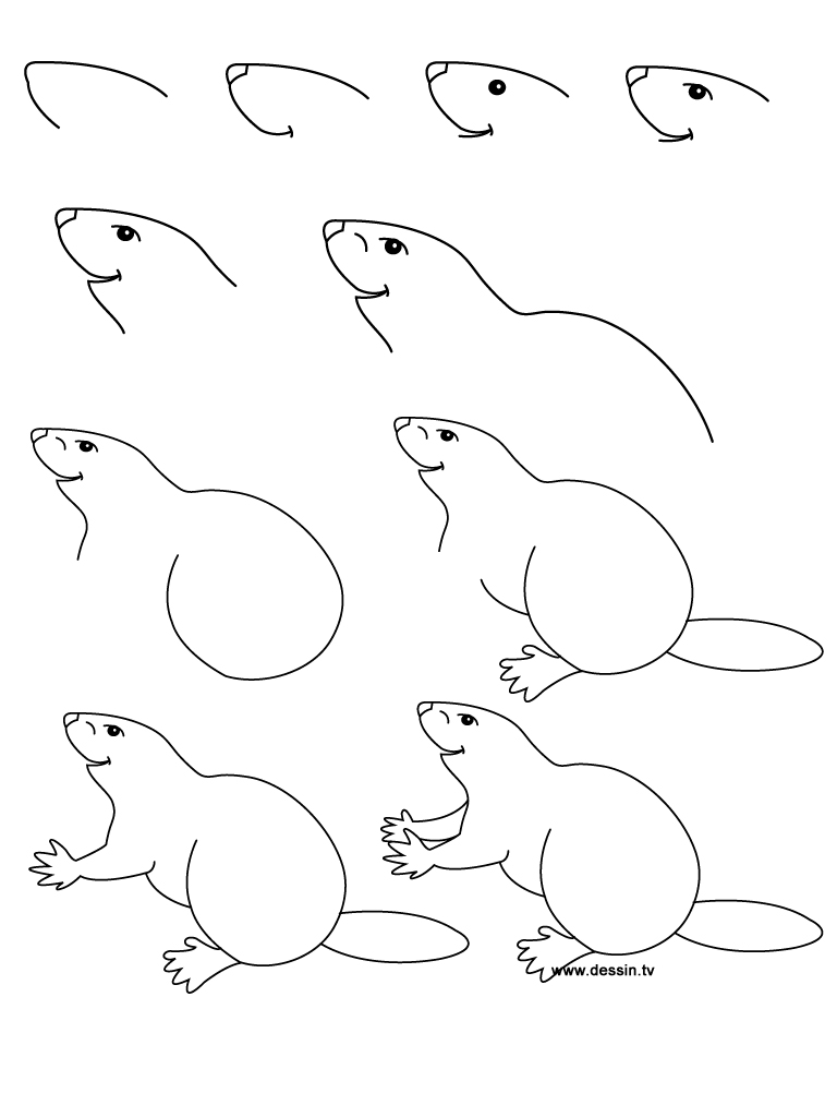 Coloring page: Beaver (Animals) #1637 - Free Printable Coloring Pages
