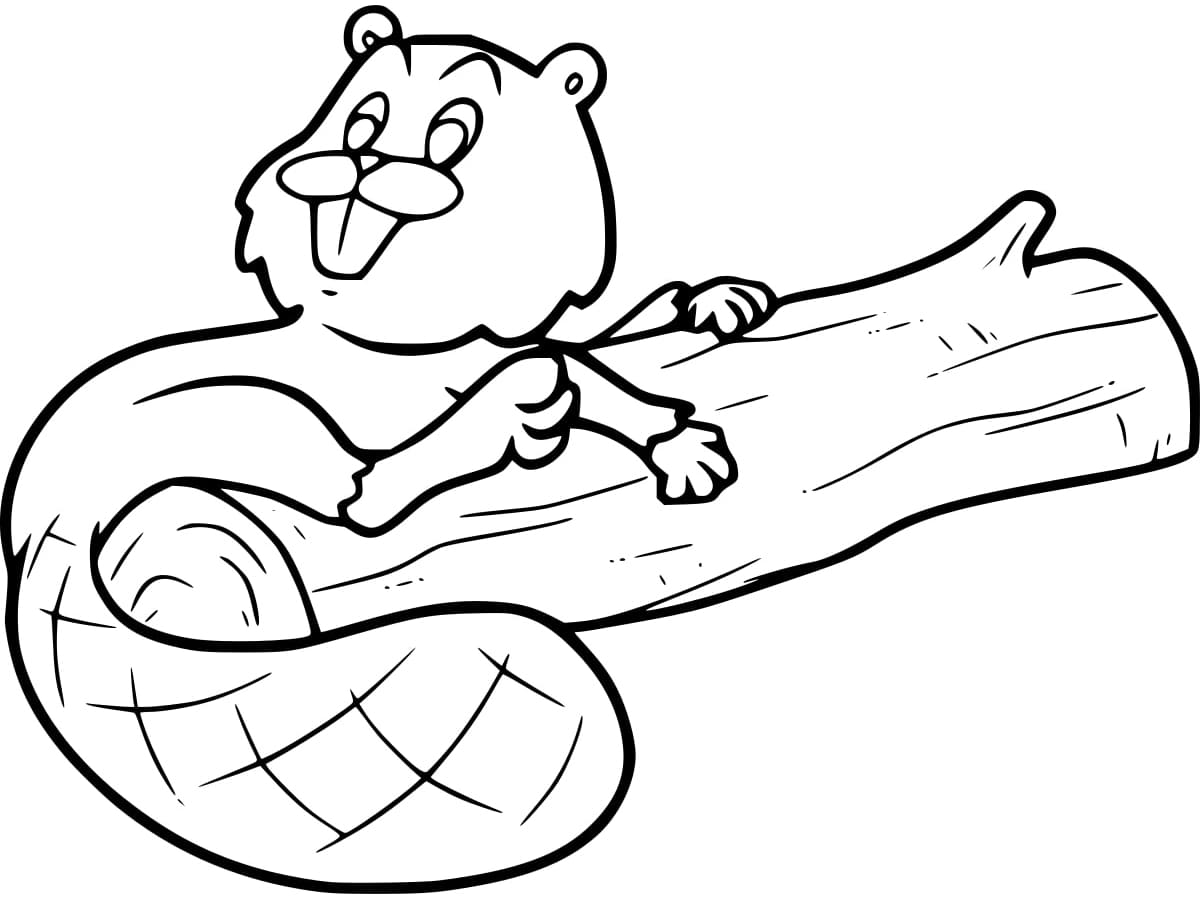 Free printable Beaver coloring page #207209 from Animals collection
