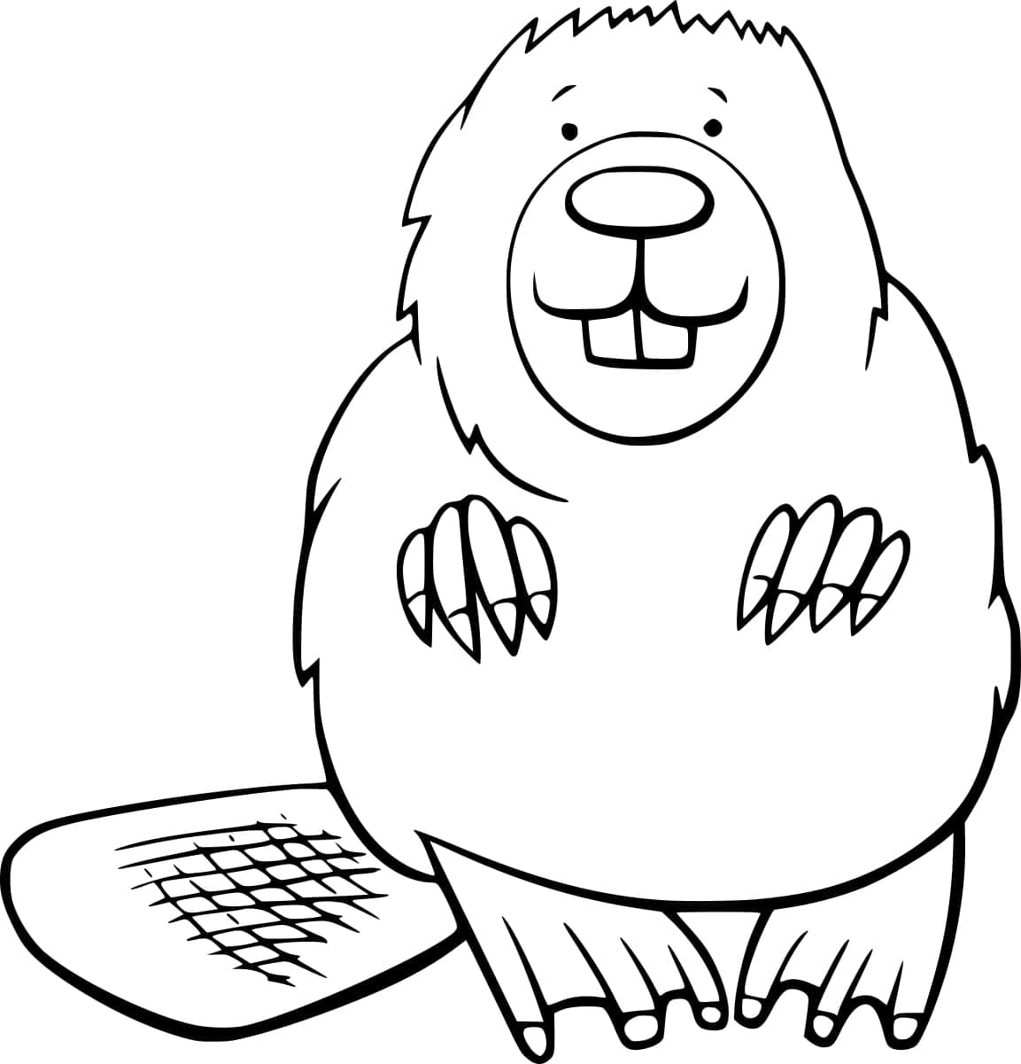 Free printable Beaver coloring page #207210 from Animals collection