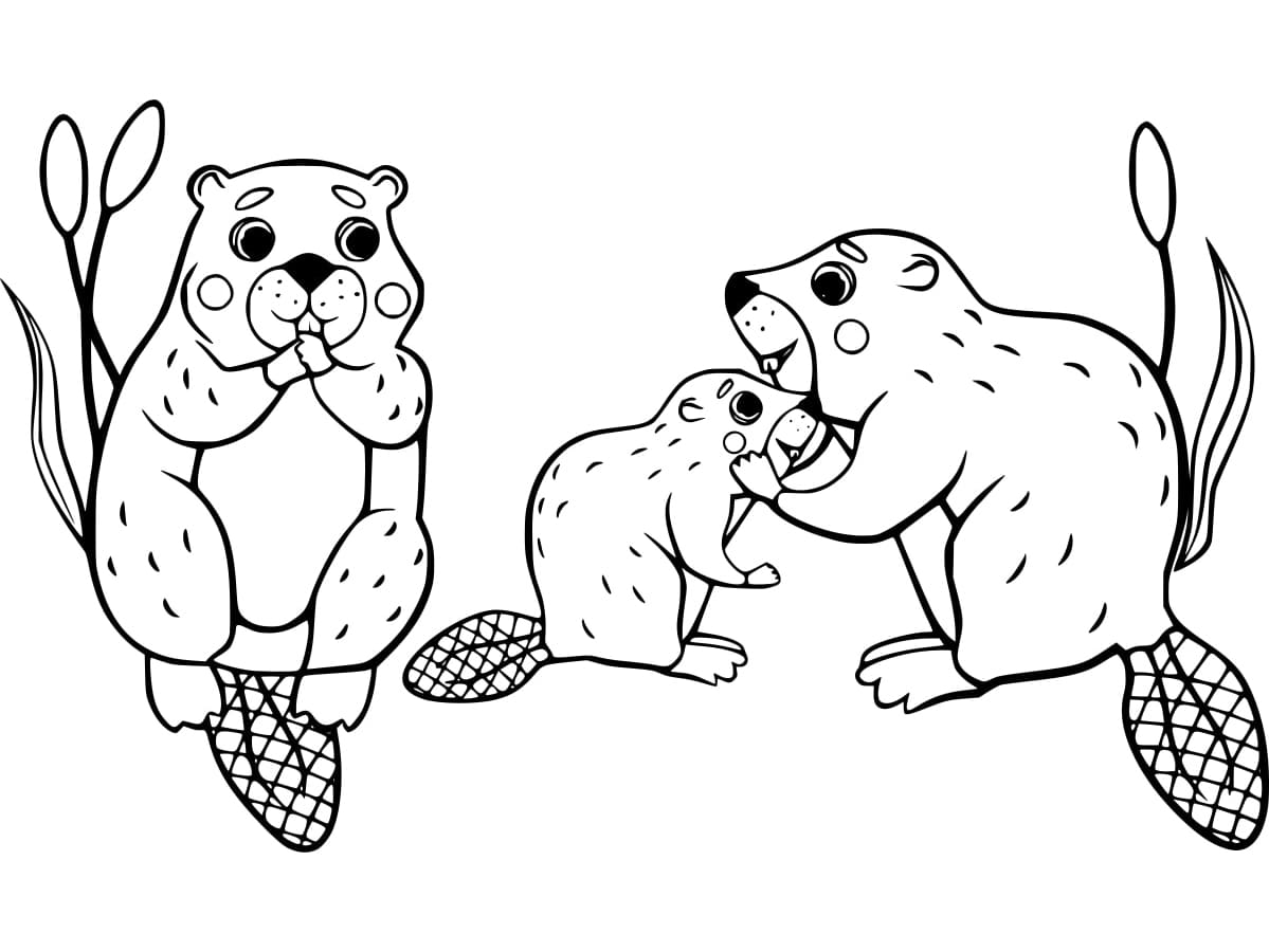 Free printable Beaver coloring page #207211 from Animals collection